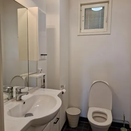 Koivikko